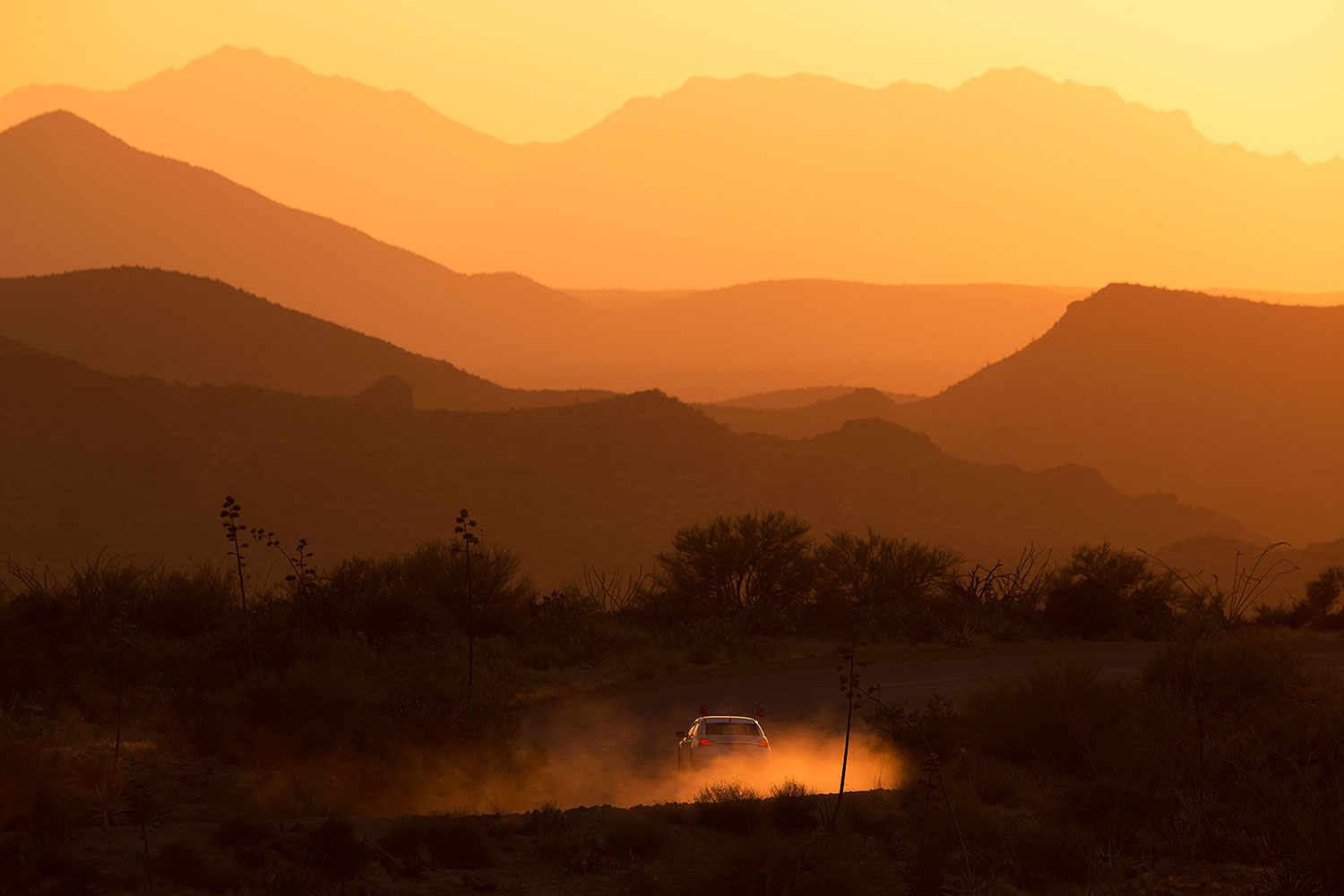 2015-07-14-sup-fish-car-6d_4314