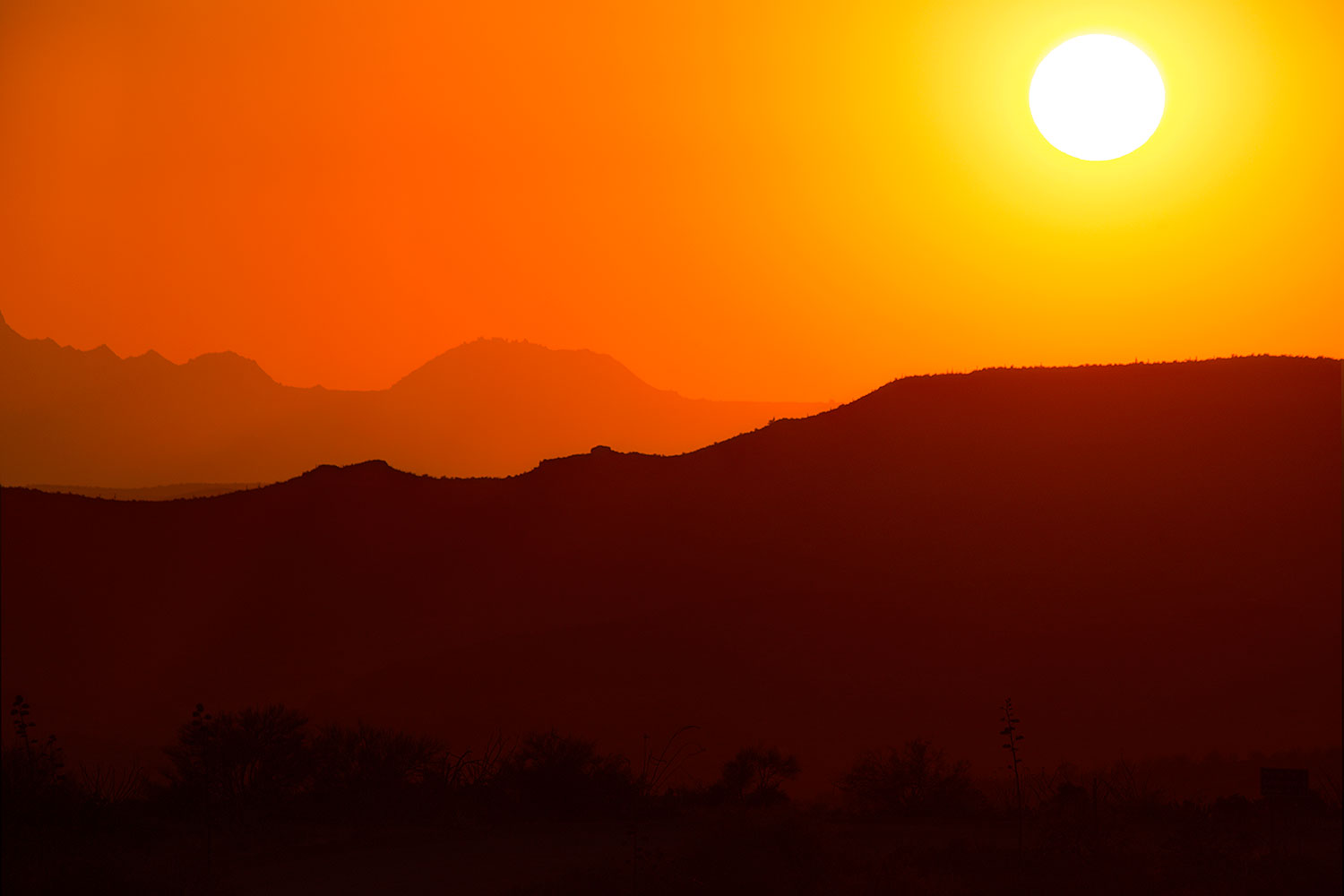 2015-07-14-sup-fish-car-6d_4364