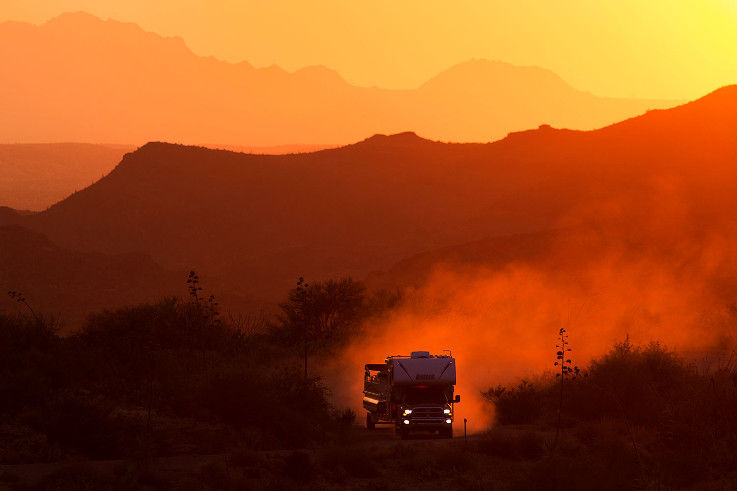 2015-07-14-supers-fish-sun-6d_4388