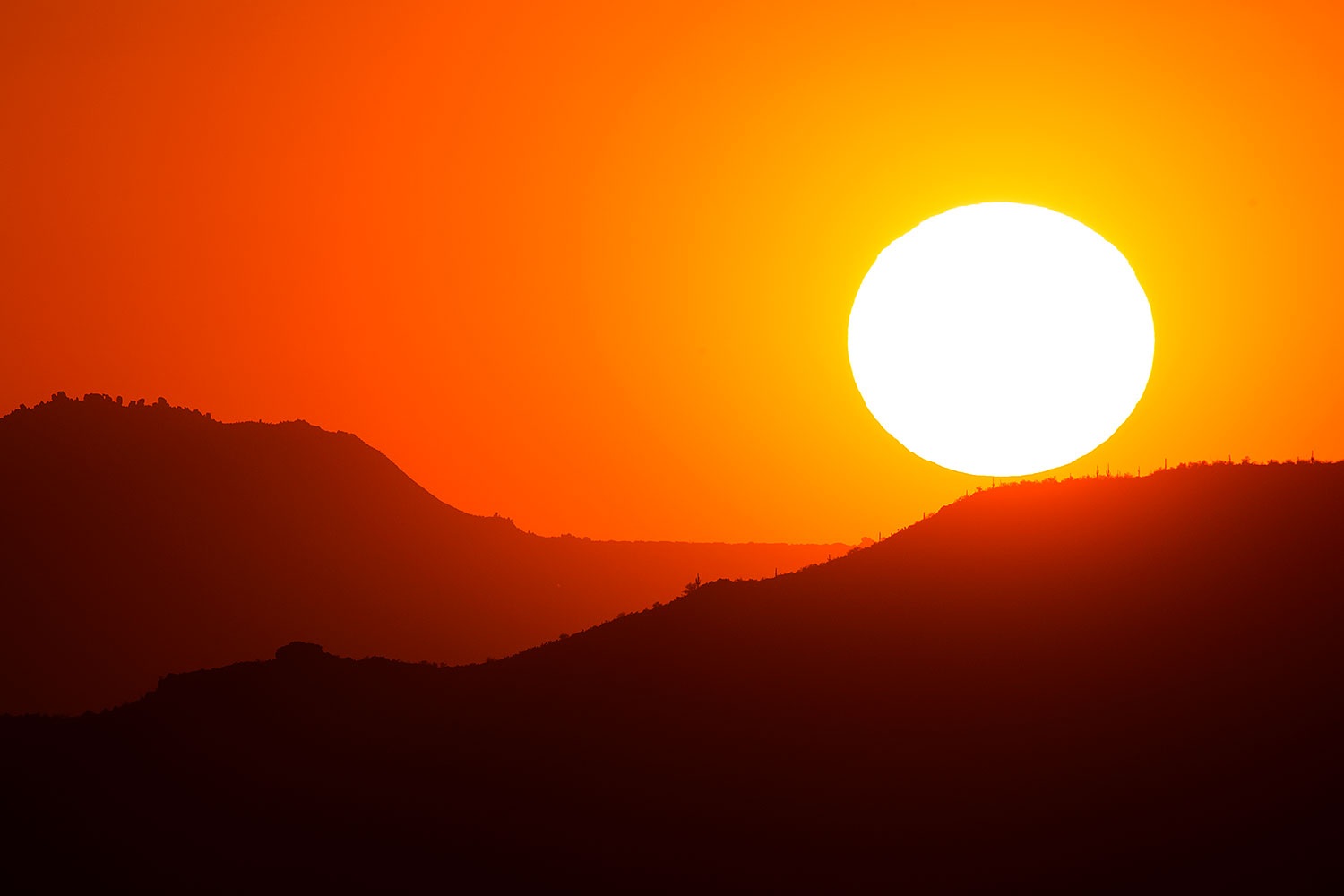 2015-07-21-supers-fish-sun-6d_5497