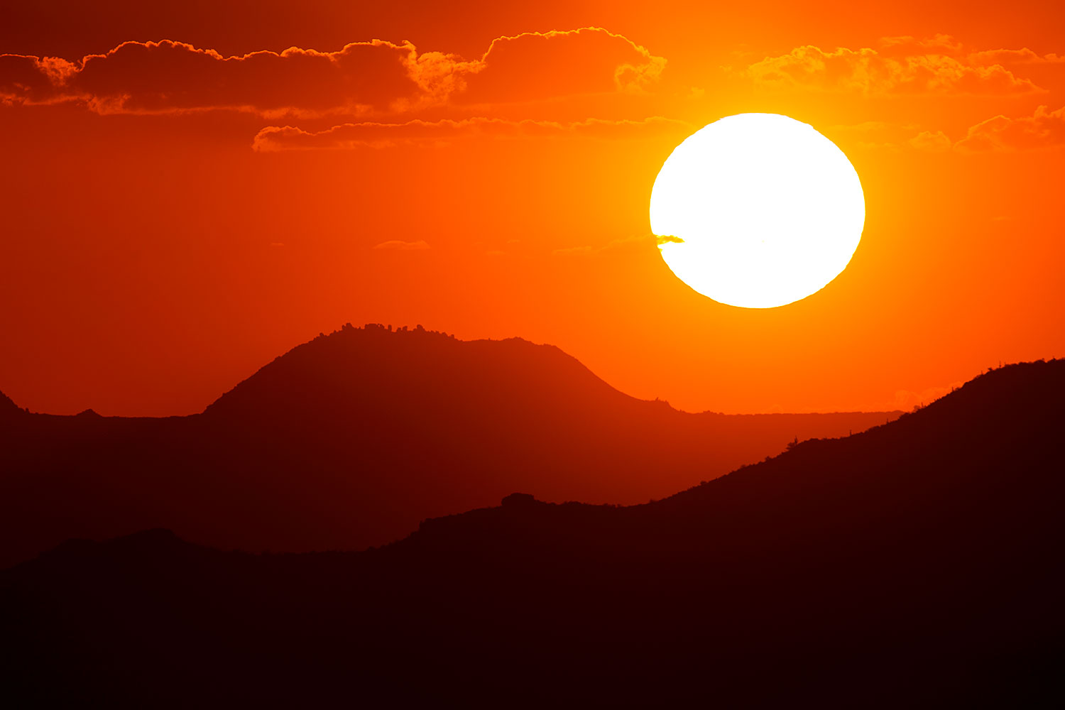 2015-07-23-supers-fish-sun-6d_6163