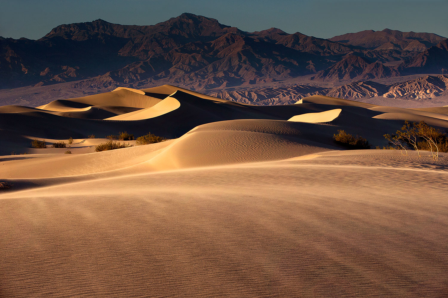 2015-08-14-dv-mesquite-11-1dx_3293