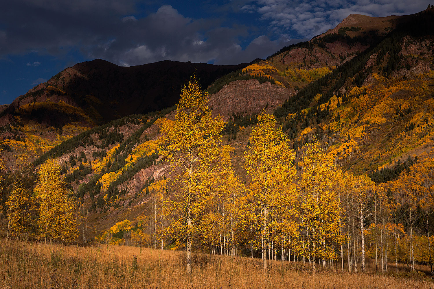 2015-09-28-maroon-bells-trees-5d3_4250
