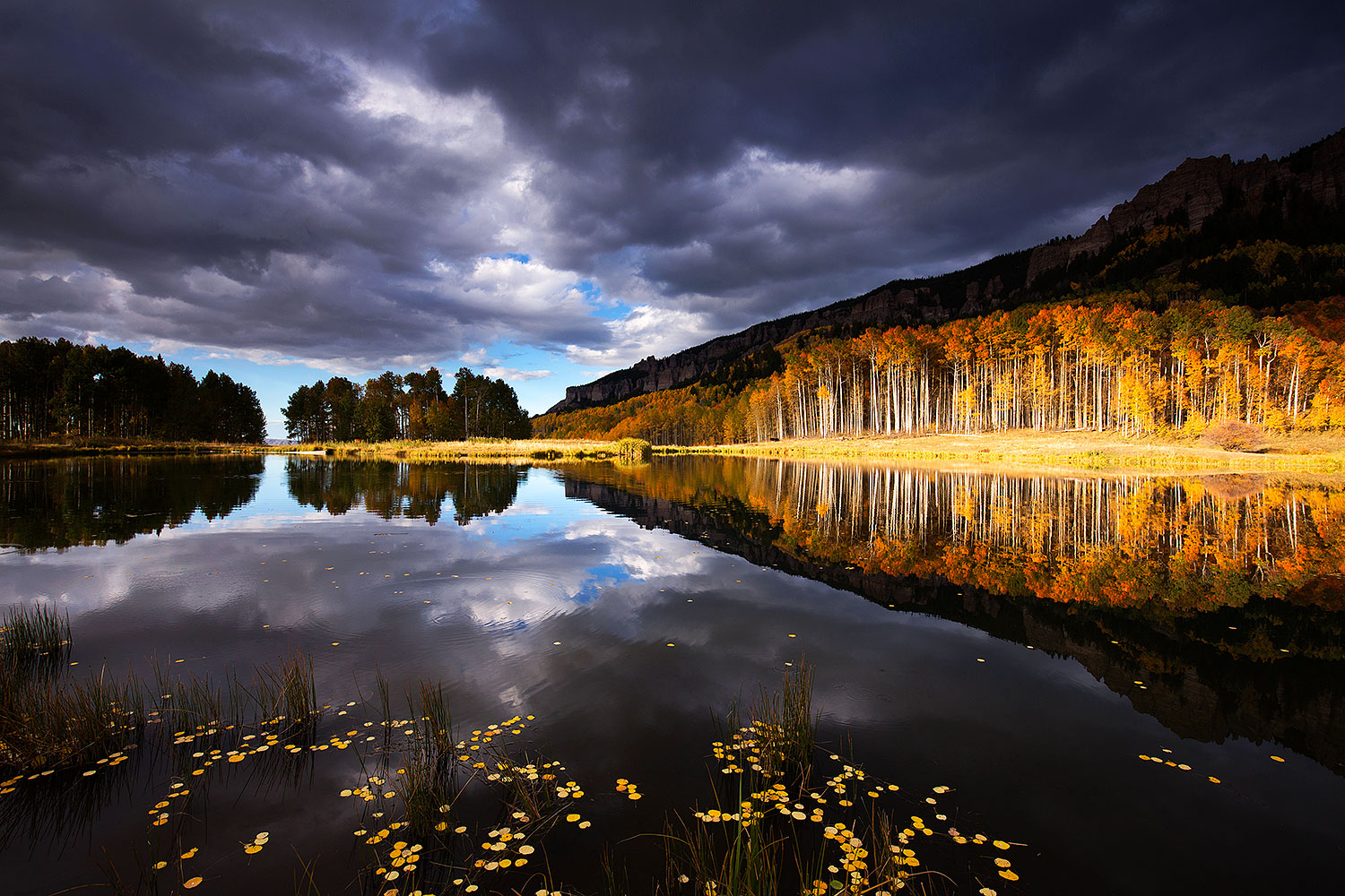 Reflections