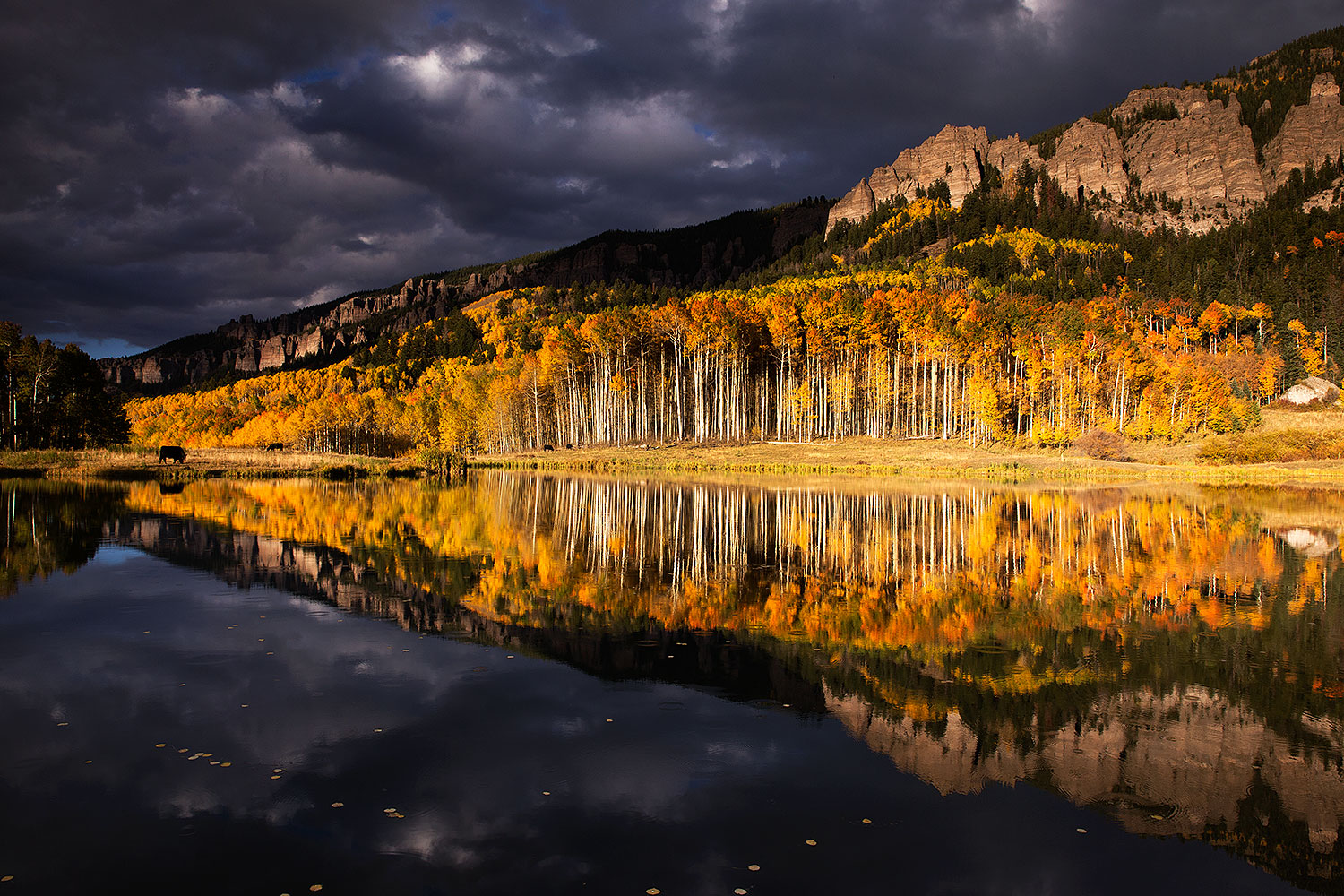 2015-10-04-clear-reflection-6d_2181