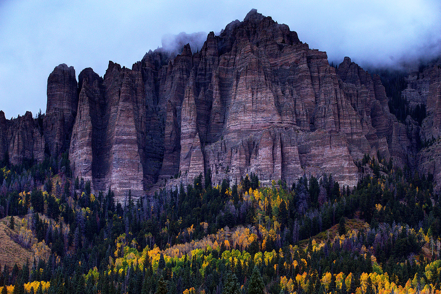 2015-10-05-owl-fog-yel-0-1-6d_2599