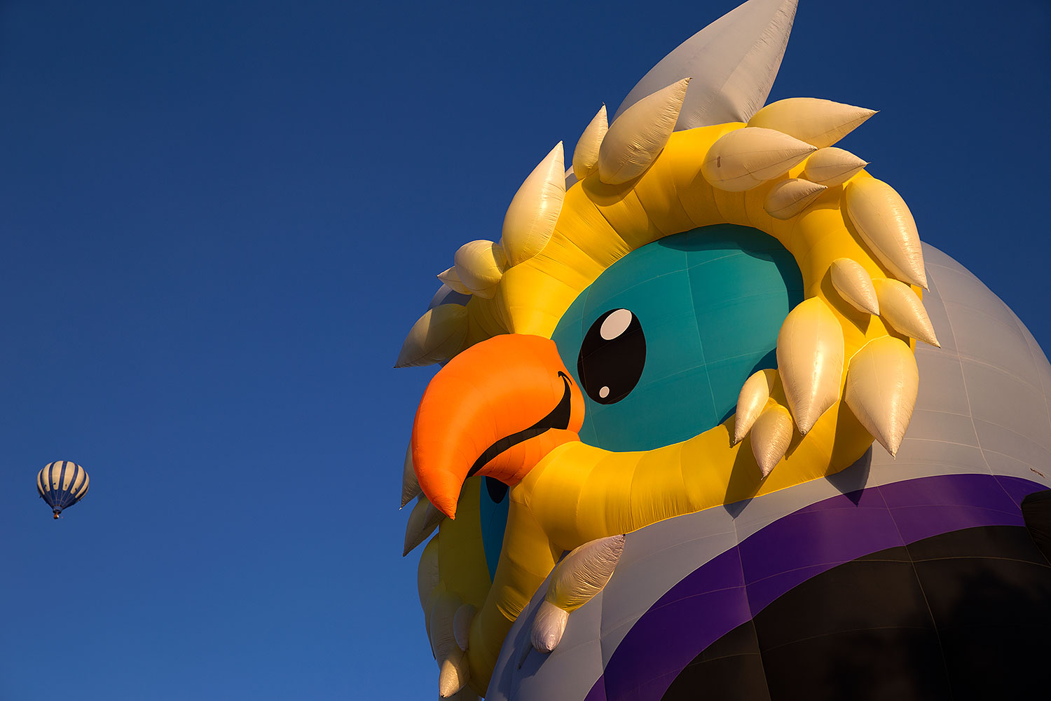 2016-01-16-havasu-morning-6d_6435