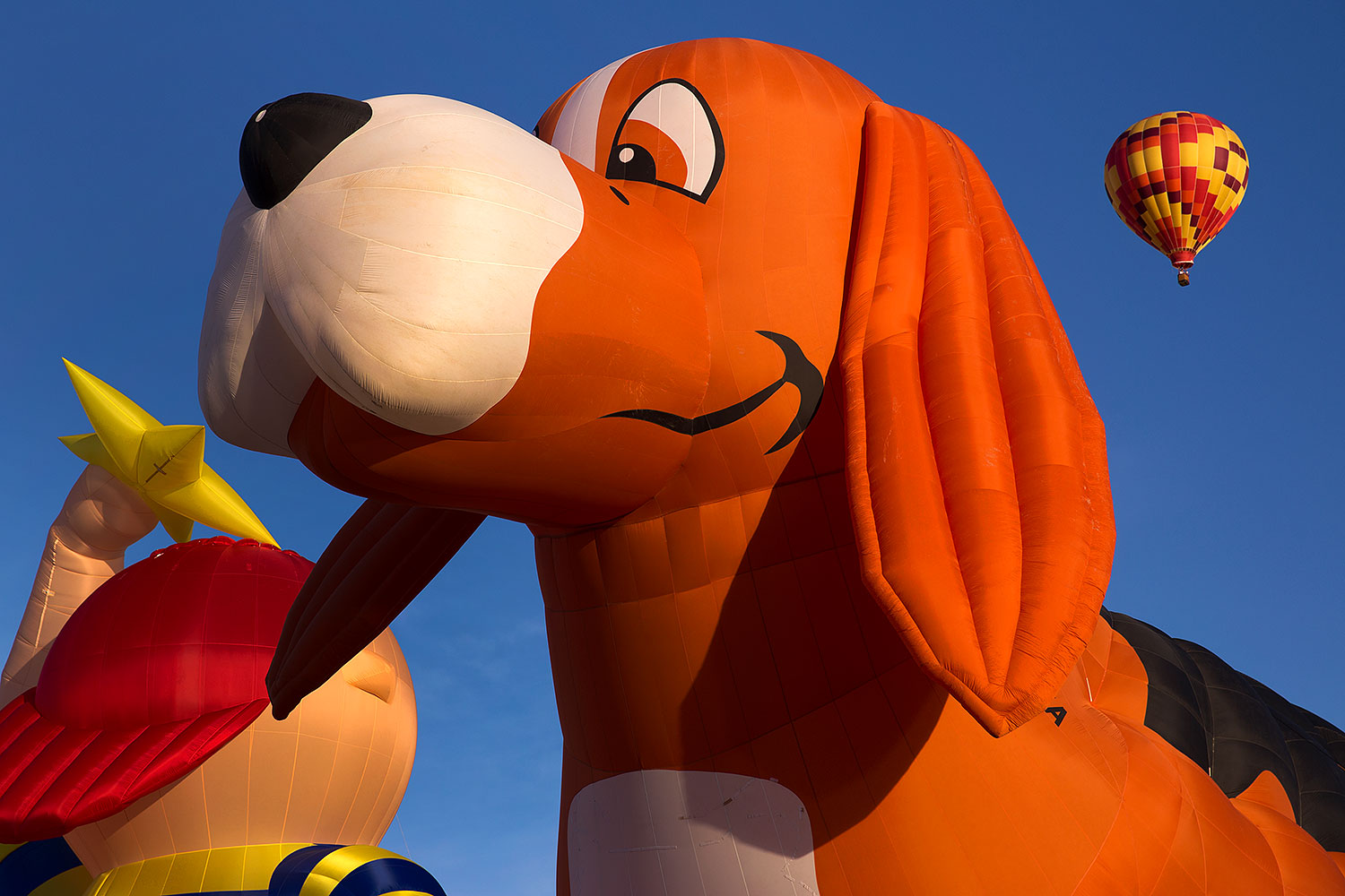 2016-01-16-havasu-morning-6d_6454