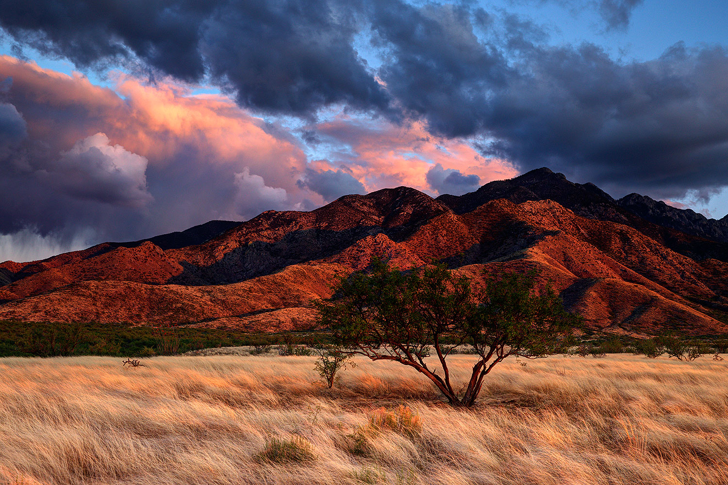 2016-04-08-santa-rita-0h-1h-1dx_10799