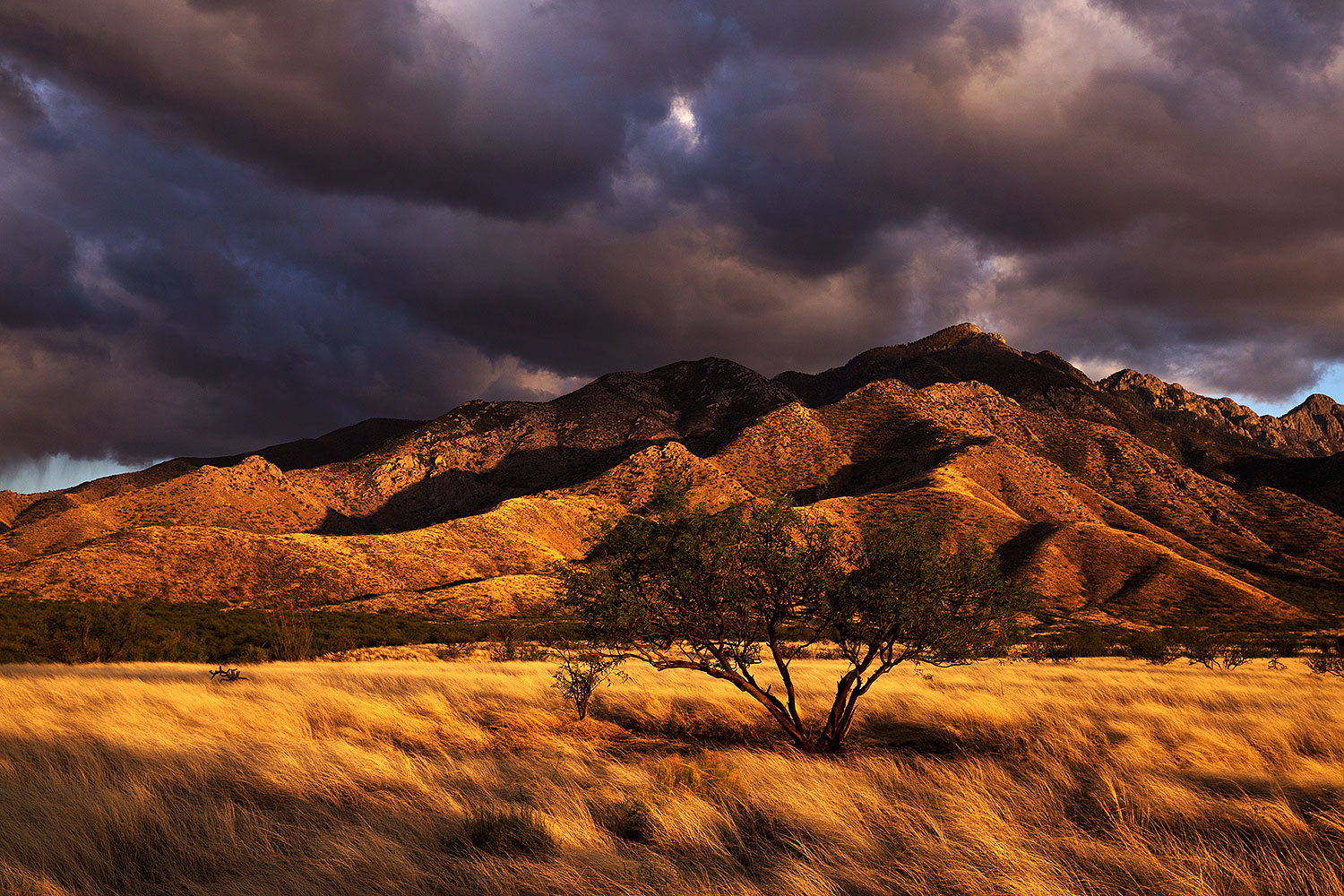 2016-04-08-santa-rita-8f-84b-1dx_10781