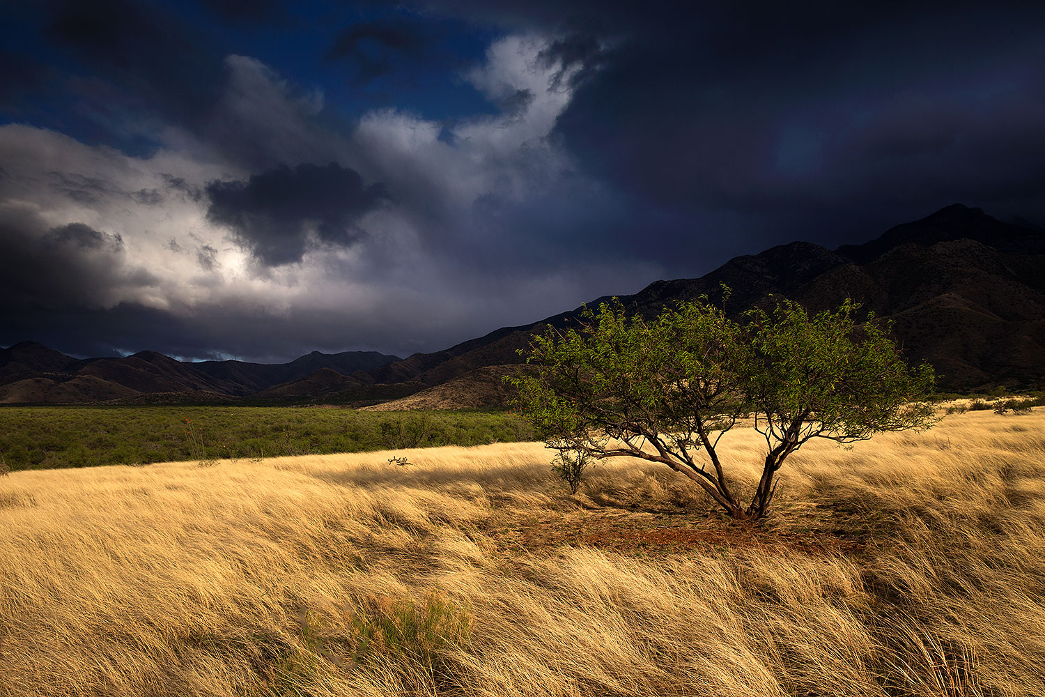 2016-04-10-santa-rita-1dx_10805