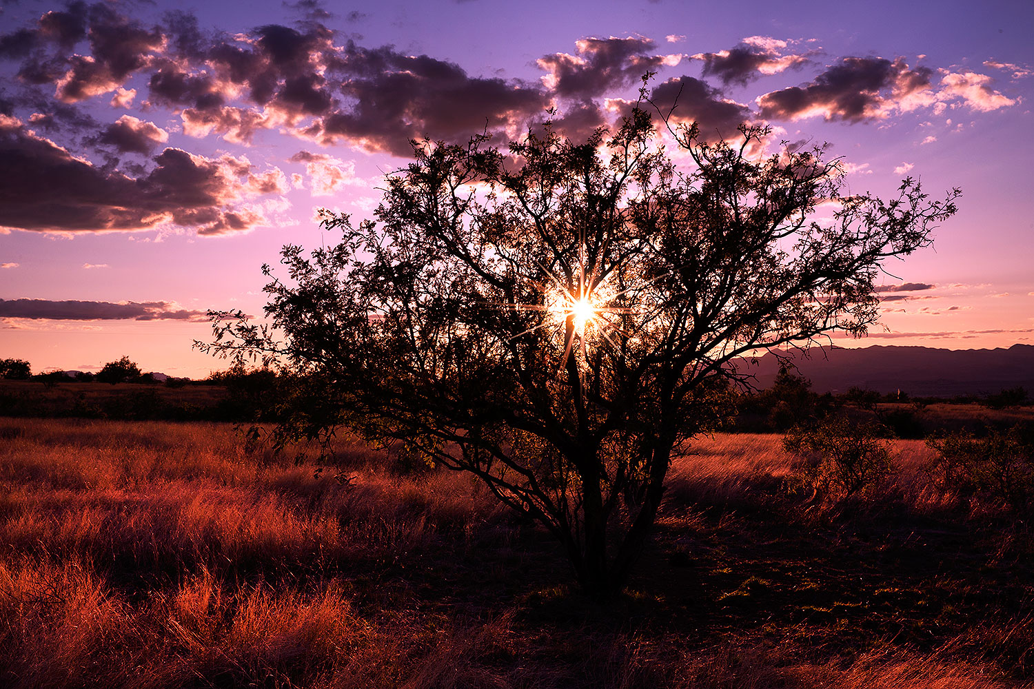 2016-04-12-santa-rita-1dx_10971