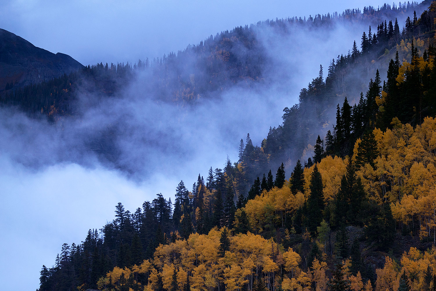 2016-09-30-fog-trees-6-6d_3983