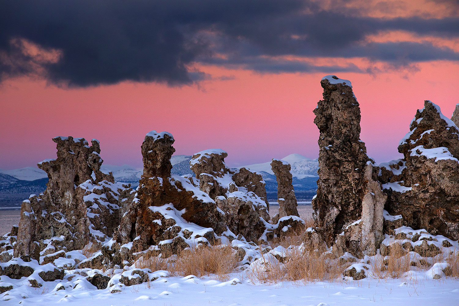 2017-01-13-mono-tufas-5d4_1191