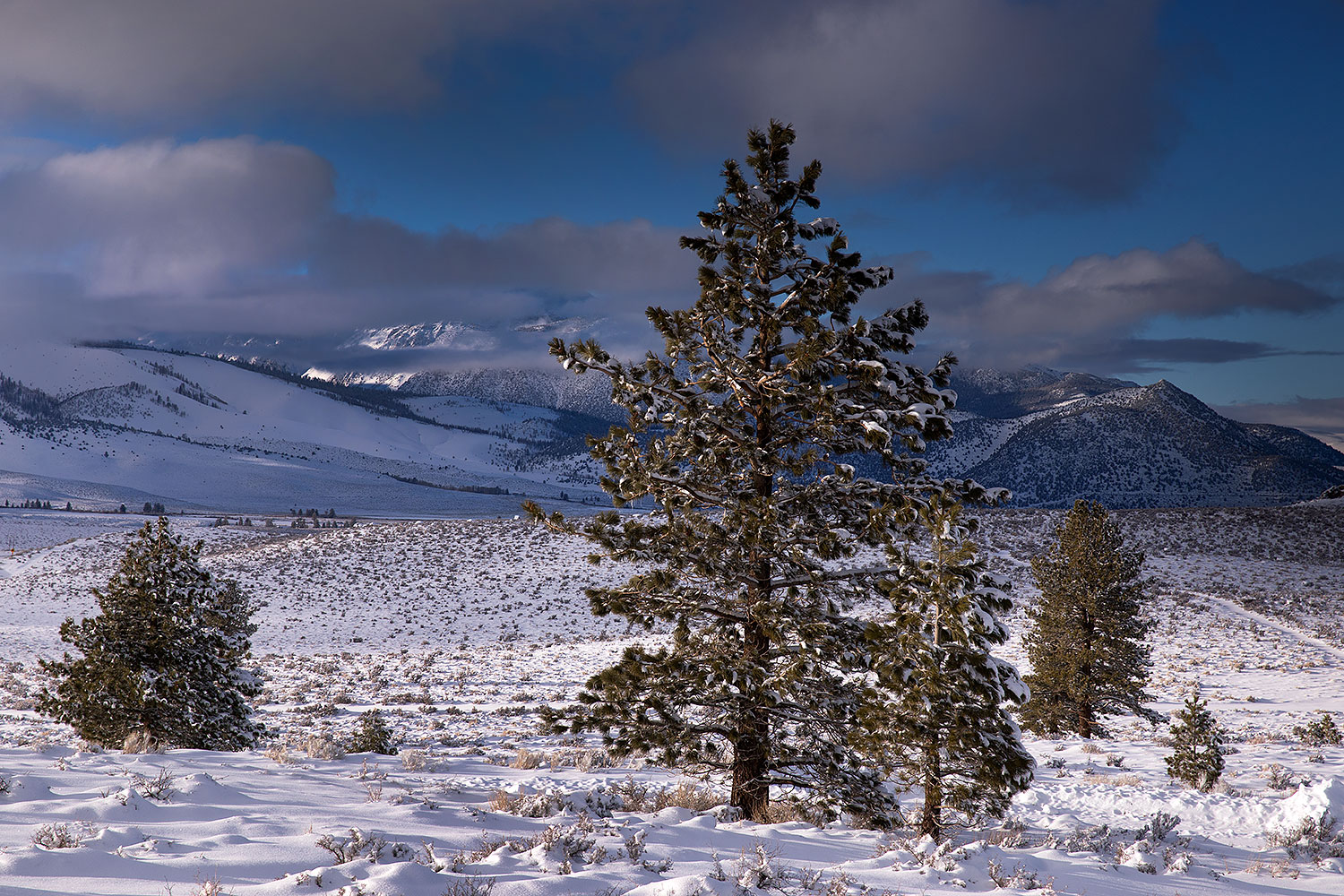2017-01-13-sierra-lookout-5d4_1169