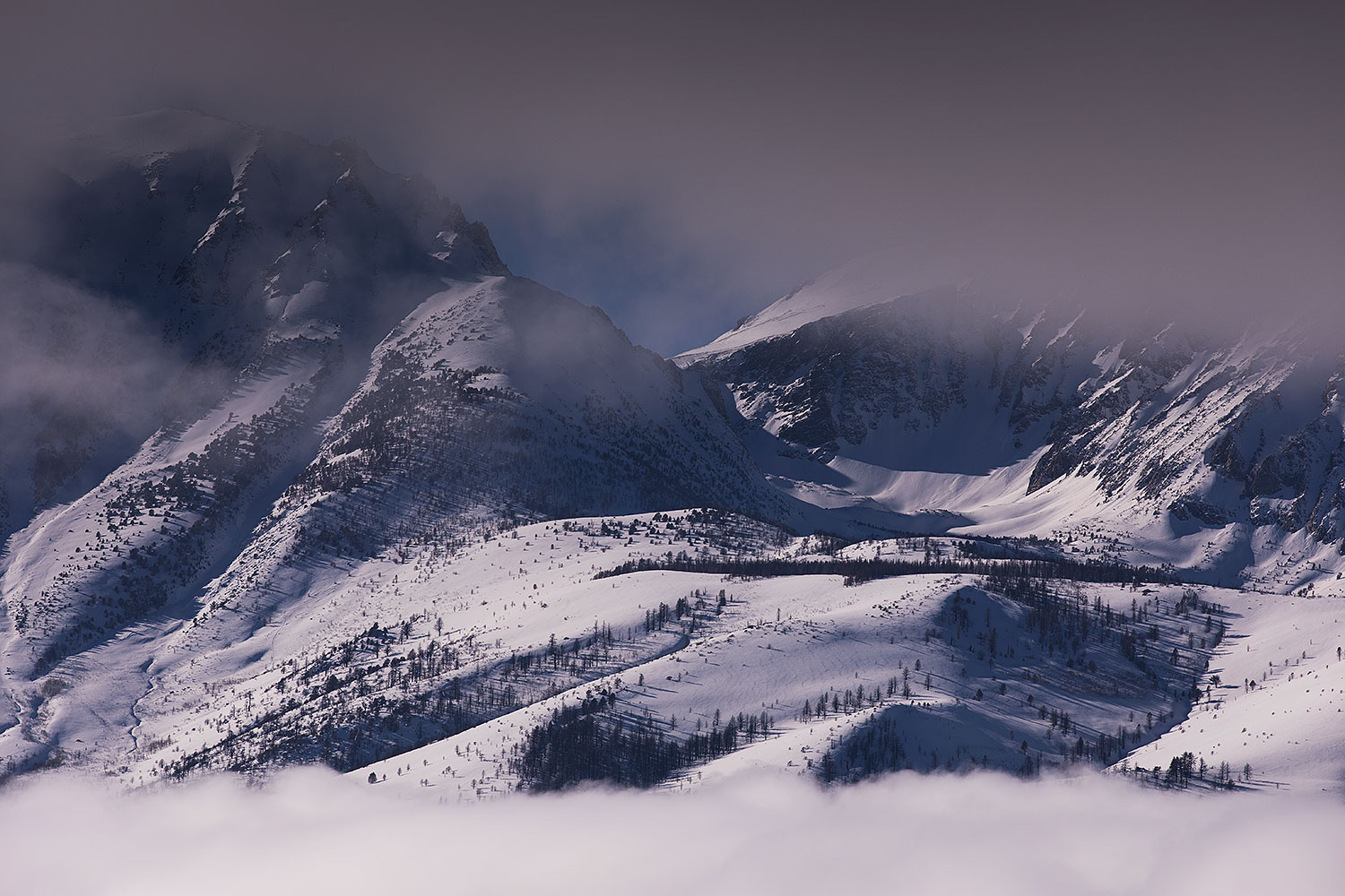 2017-01-14-sierra-mountains-5d4_1758