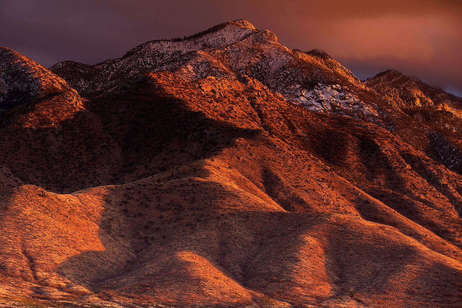 2017-01-24-santa-ritas-1x_35493