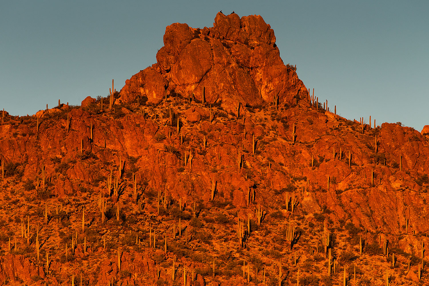 2017-01-28-tucson-mountains-1x_36246