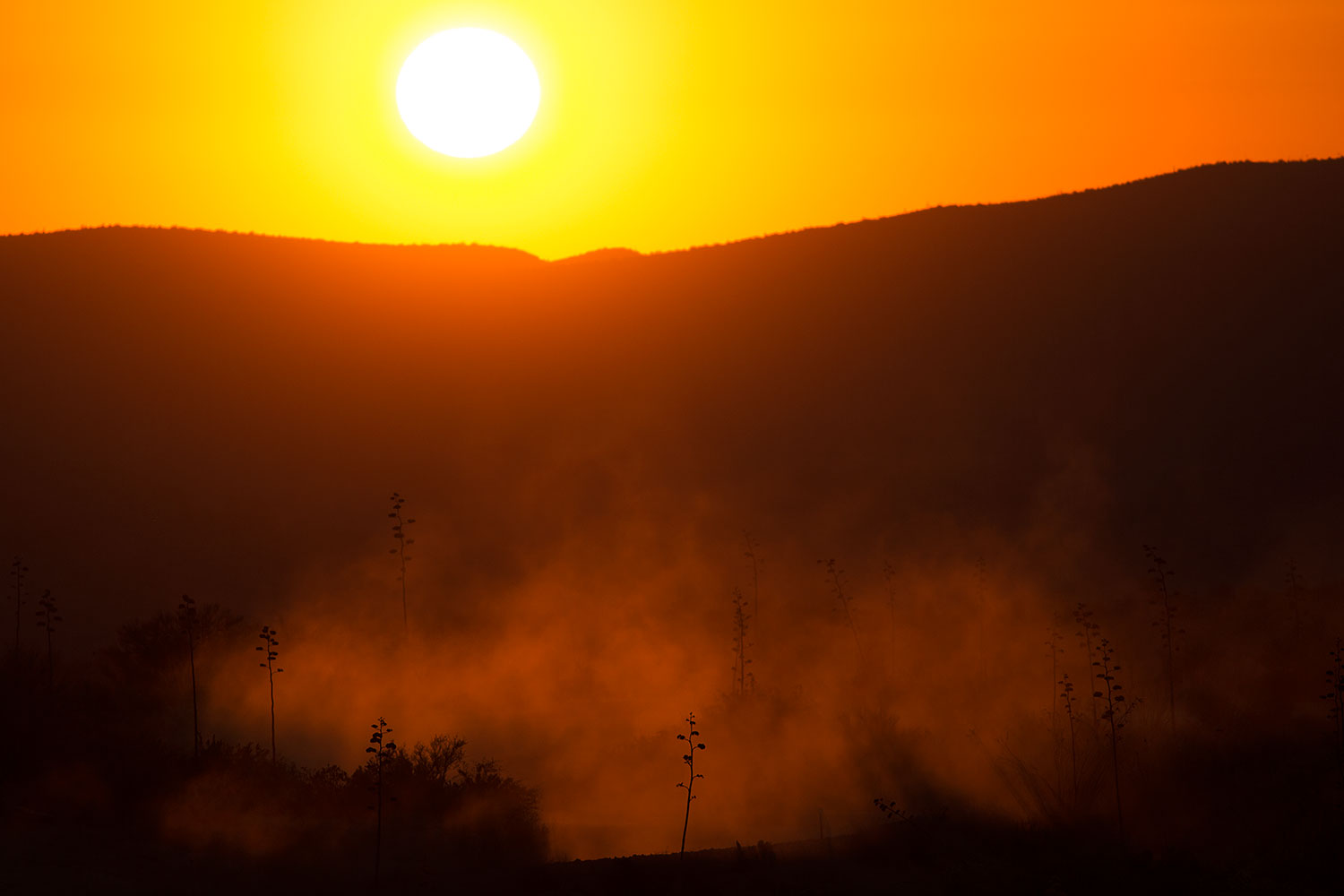 2017-06-09-supers-fish-1dx_50276