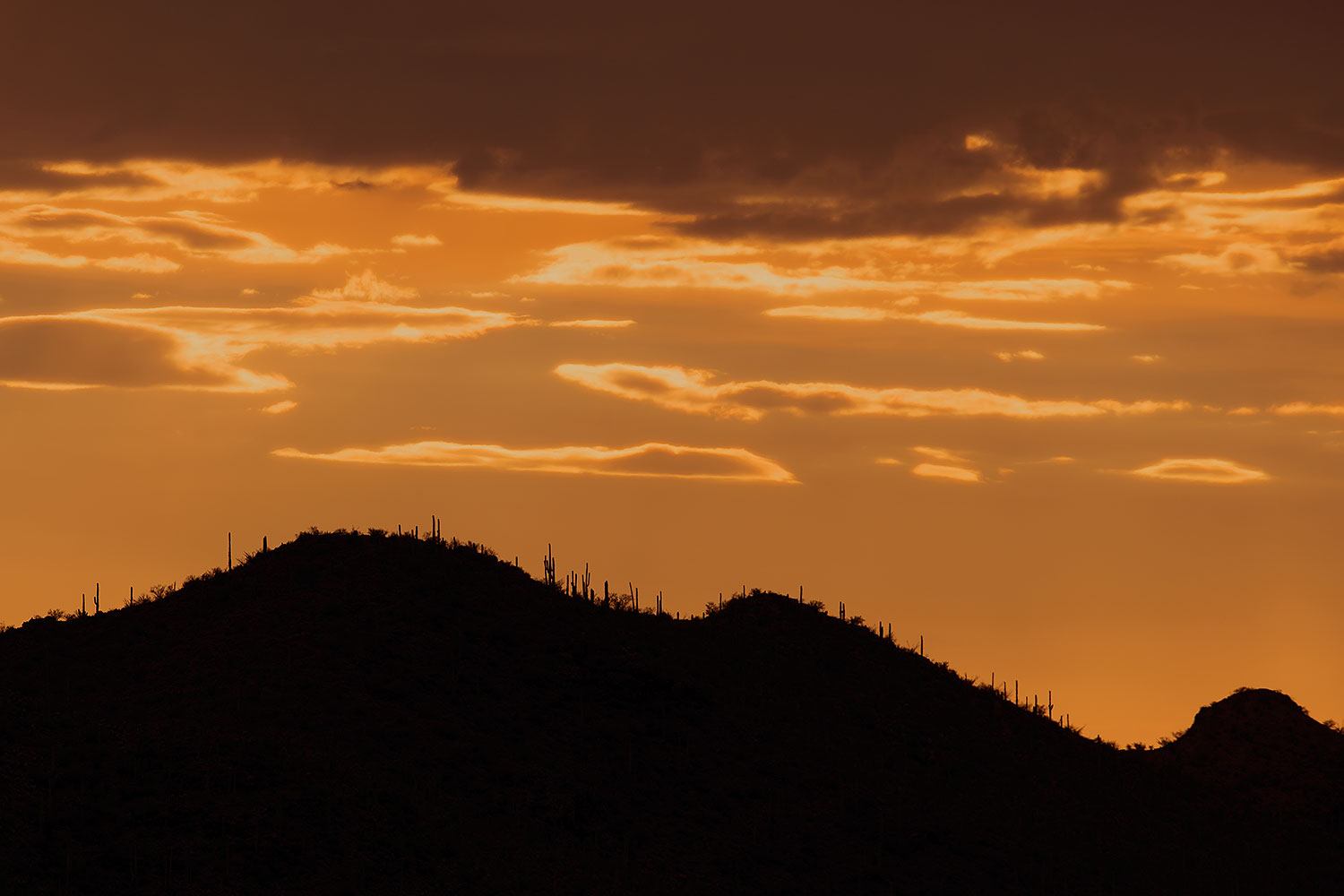 2017-07-19-tuc-mtns-silh-a7r2_00056