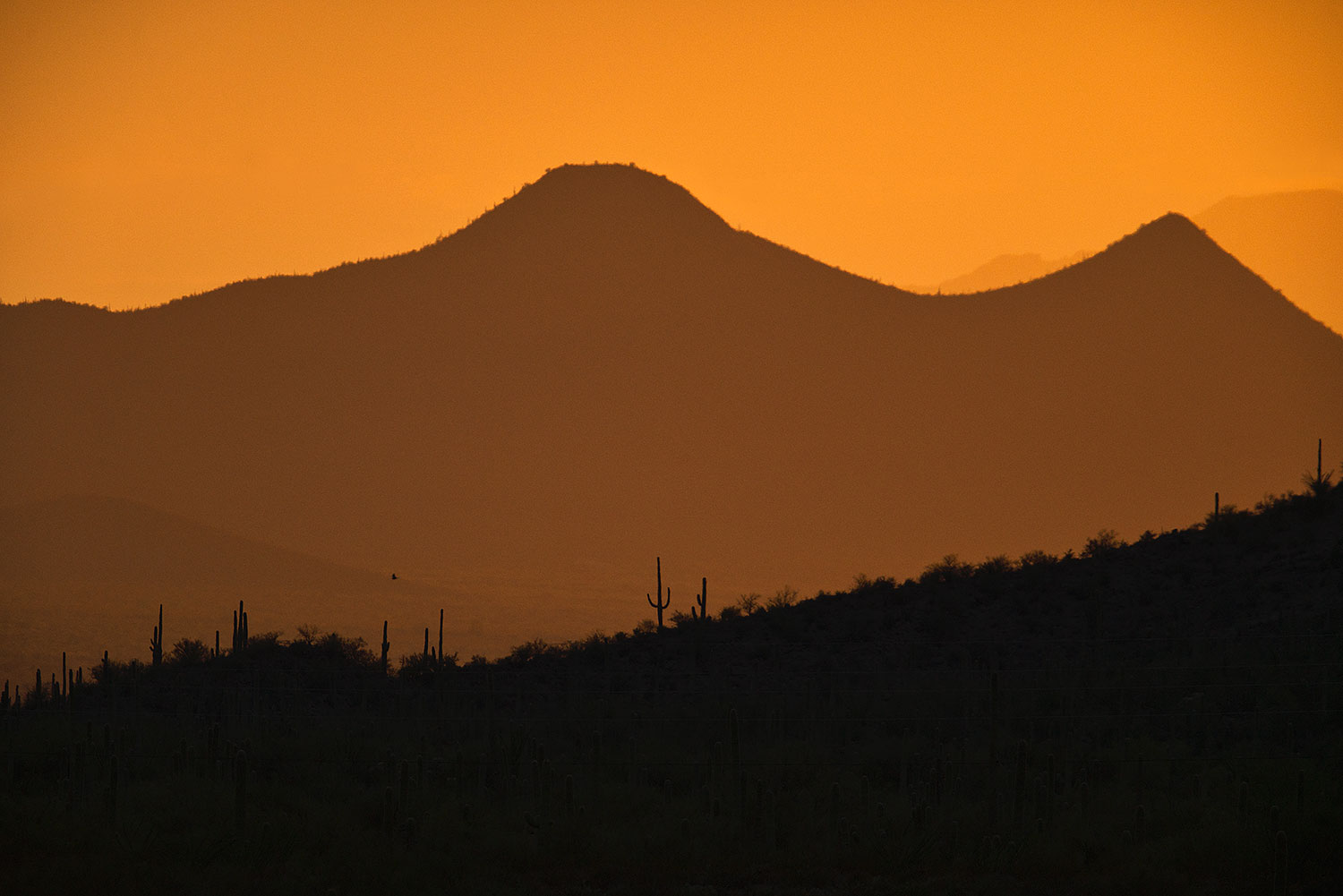 2017-07-19-tuc-mtns-silh-lu-a7r2_00091