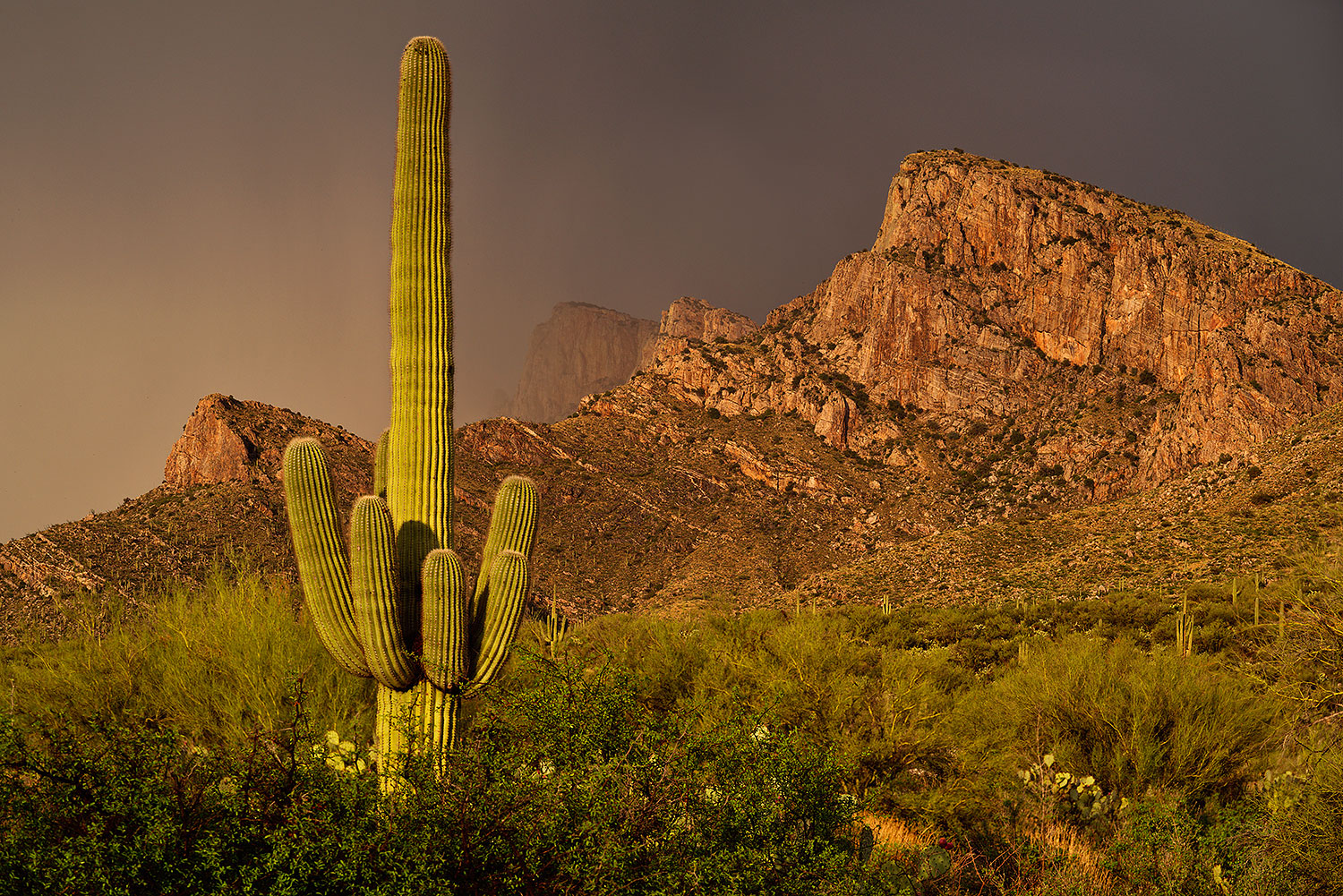 2017-07-21-tuc-linda-8-a7r2_00337