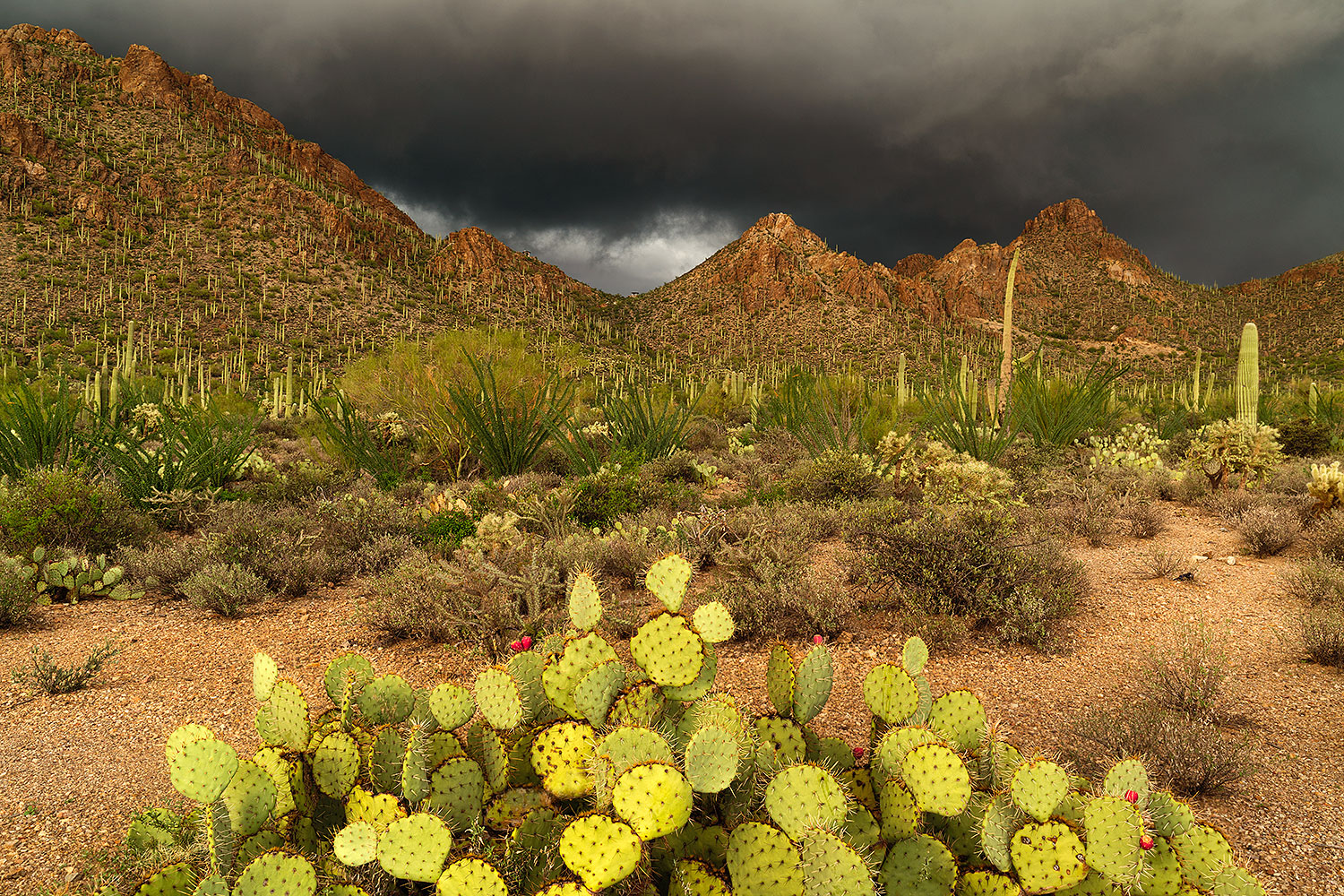 2017-07-22-tuc-mtns-35lu-a7r2_00434