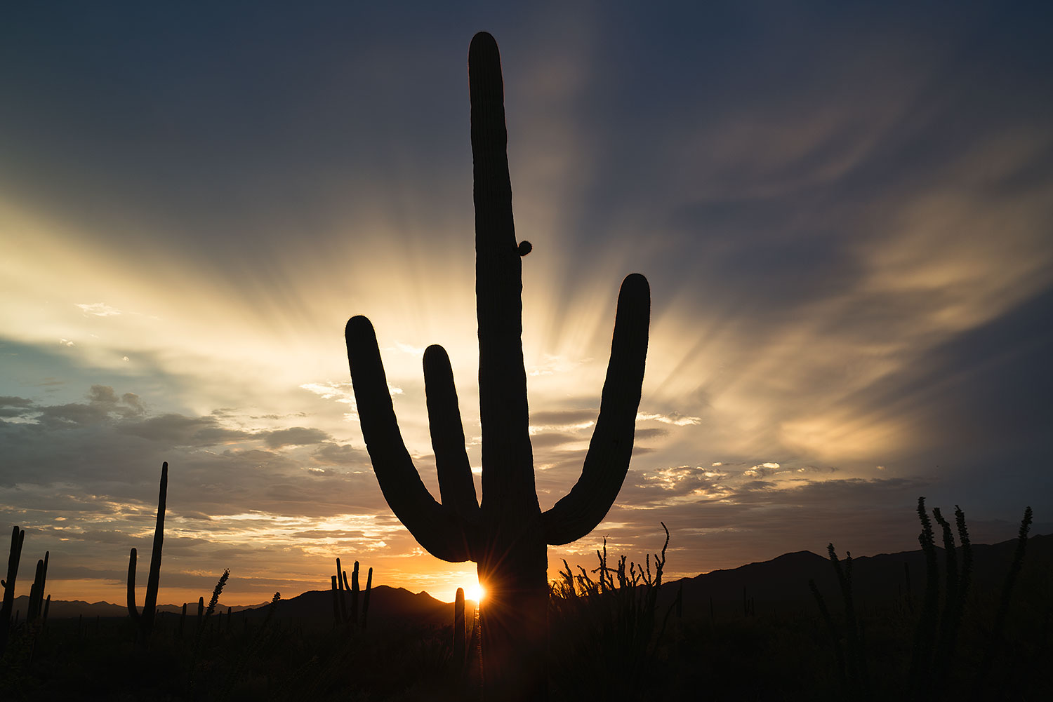 2017-07-27-tuc-mtns-sunset-a7r2_00746