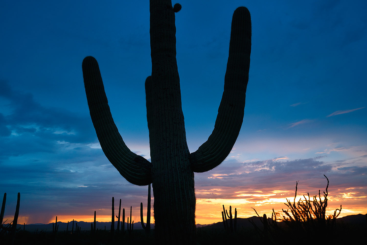 2017-07-27-tuc-mtns-sunset-a7r2_00778