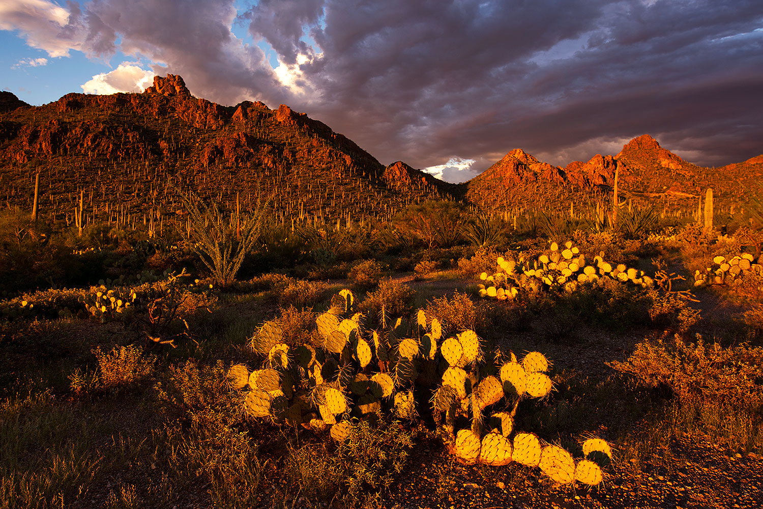 2017-08-26-tuc-mtns-land-a7r2_02026