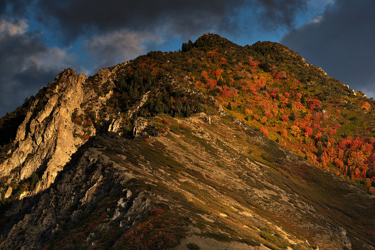 Fall Colors by Salt Lake City, Utah â€¦ October 2017