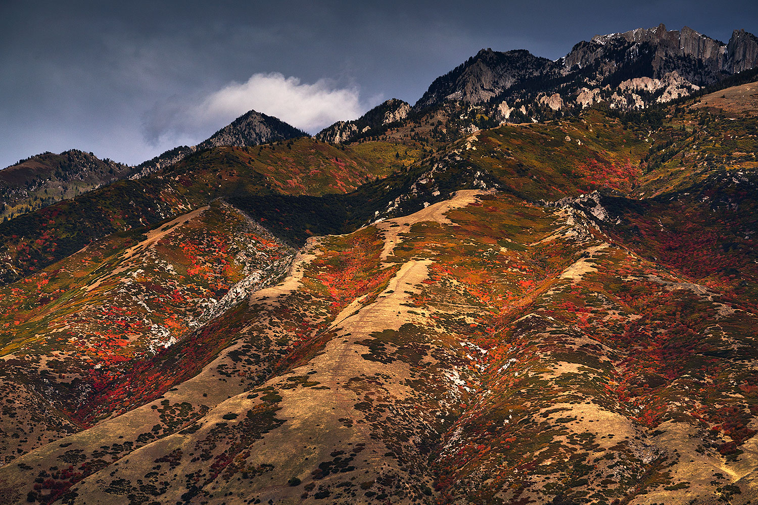 Fall Colors by Salt Lake City, Utah â€¦ October 2017