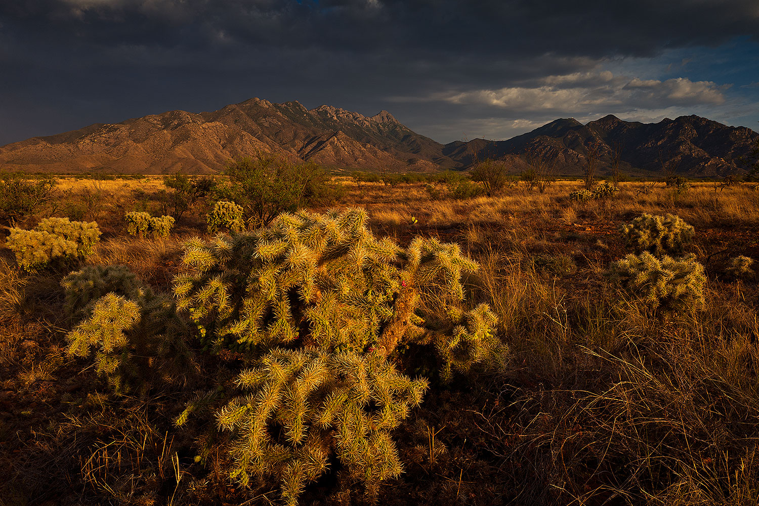 2018-06-08-st-ritas-11to14-lq_0010