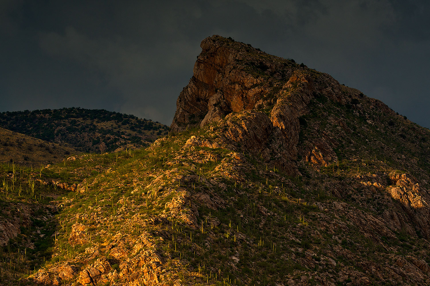 2018-07-12-tuc-finger-viv1-a7r3_2177