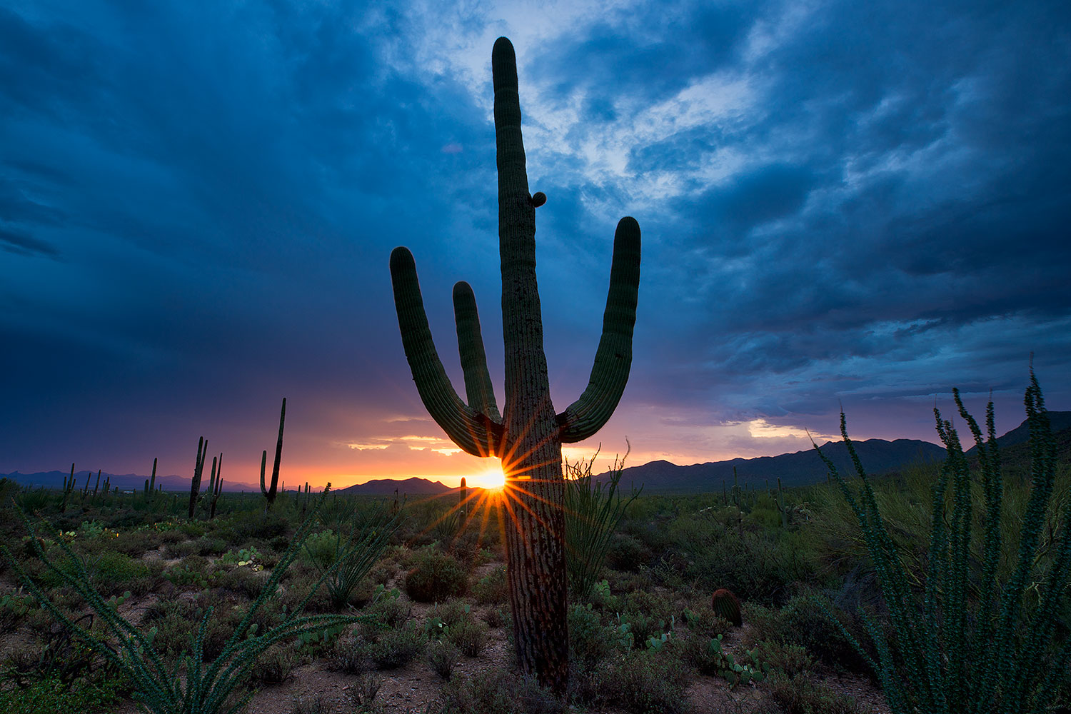Santa Rita Mountains â€¦ July 2018