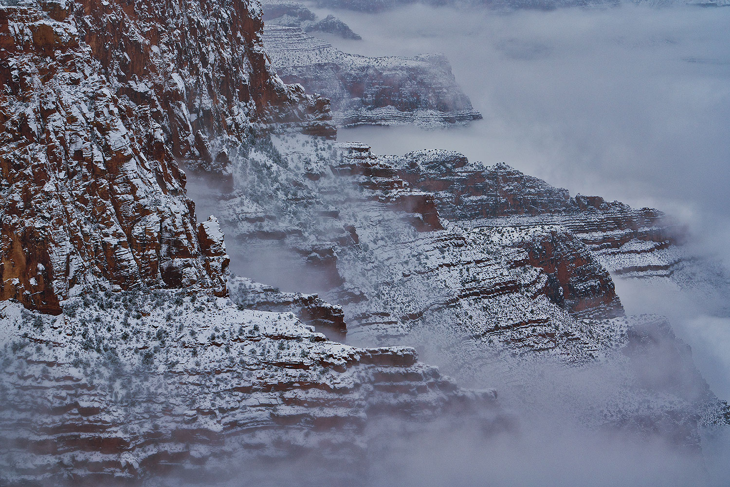 Snow and fog at Grand Canyon â€¦ January 2019