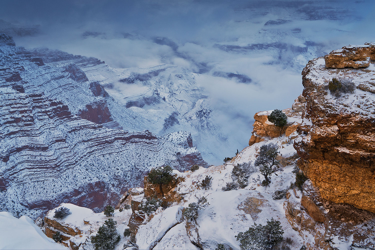 Snow and fog at Grand Canyon â€¦ January 2019