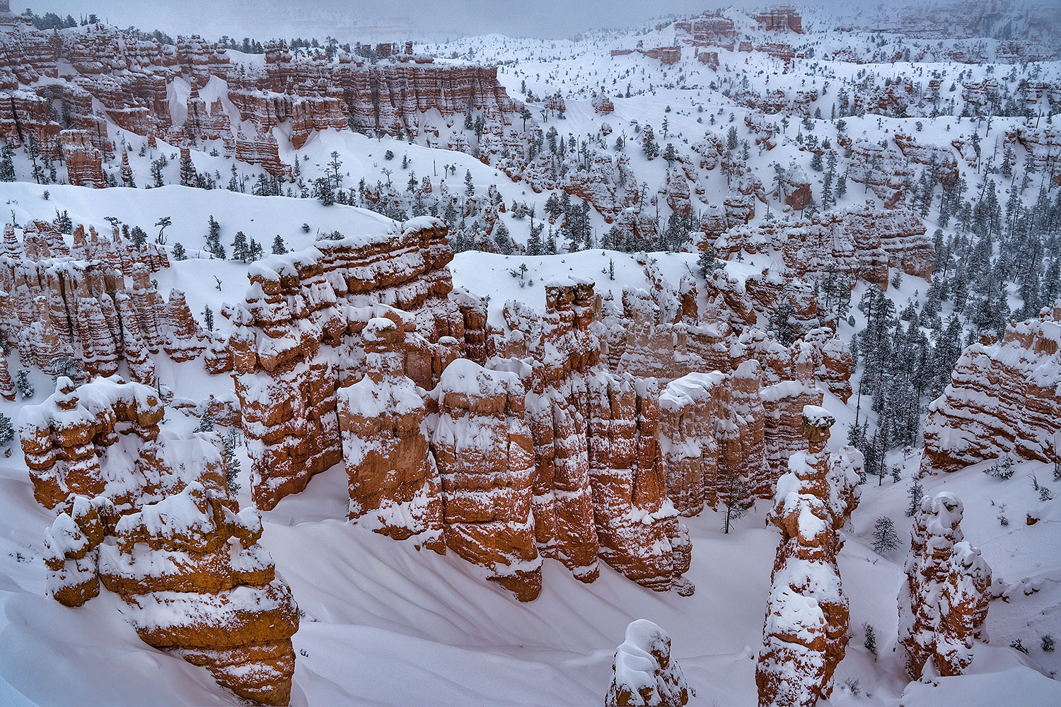 2019-02-21-bryce-snow-1n3-a7r3_12120