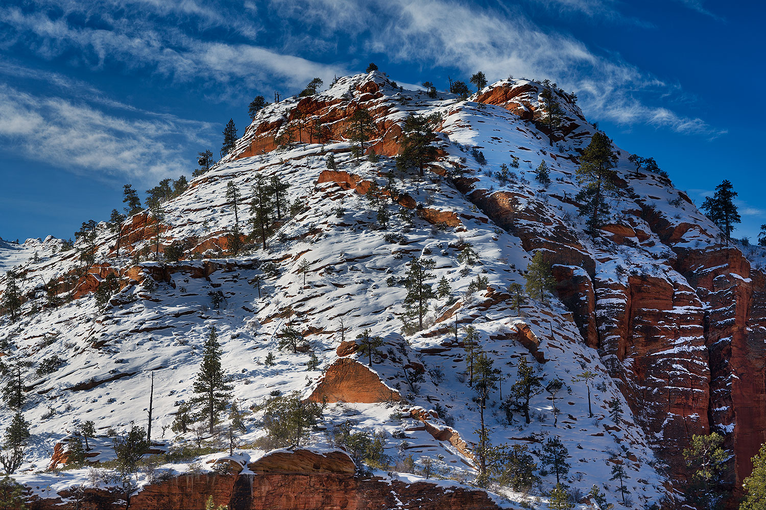 2019-02-24-zion-rocks-mi1-4-a7r3_14133