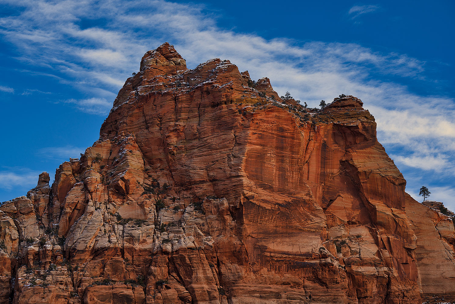 2019-02-24-zion-rocks-mi1-a7r3_14026