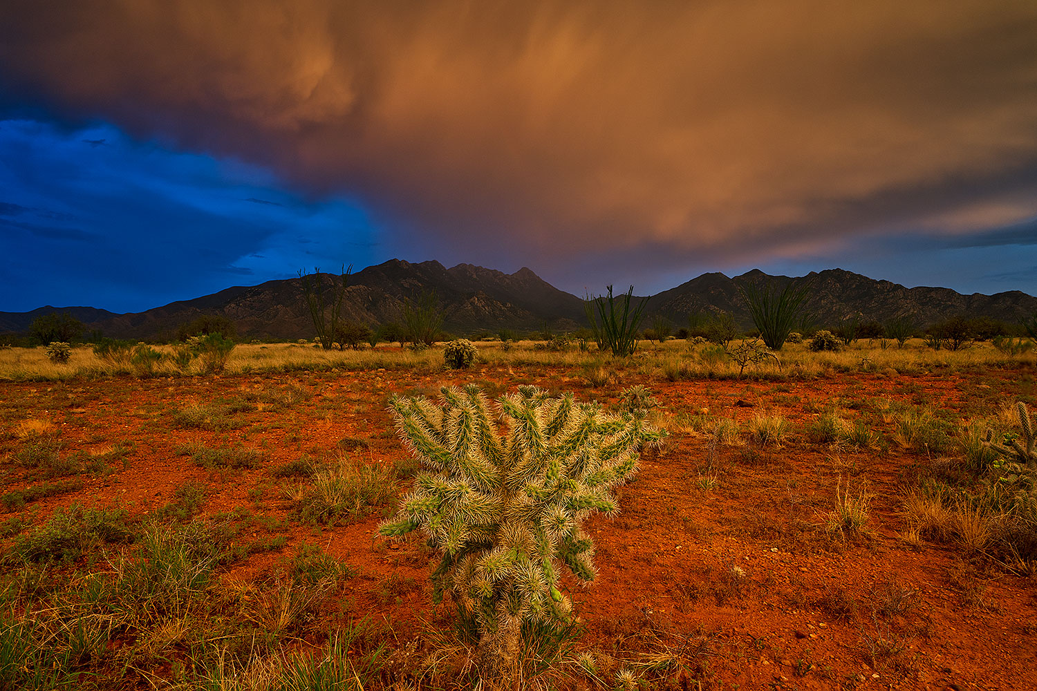 2019-08-01-santa-rita-viv1-4to7-a7r3_17823