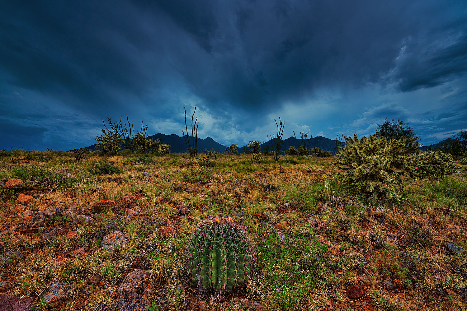 2019-08-03-santa-rita-viv1-1to6-a7r3_17860