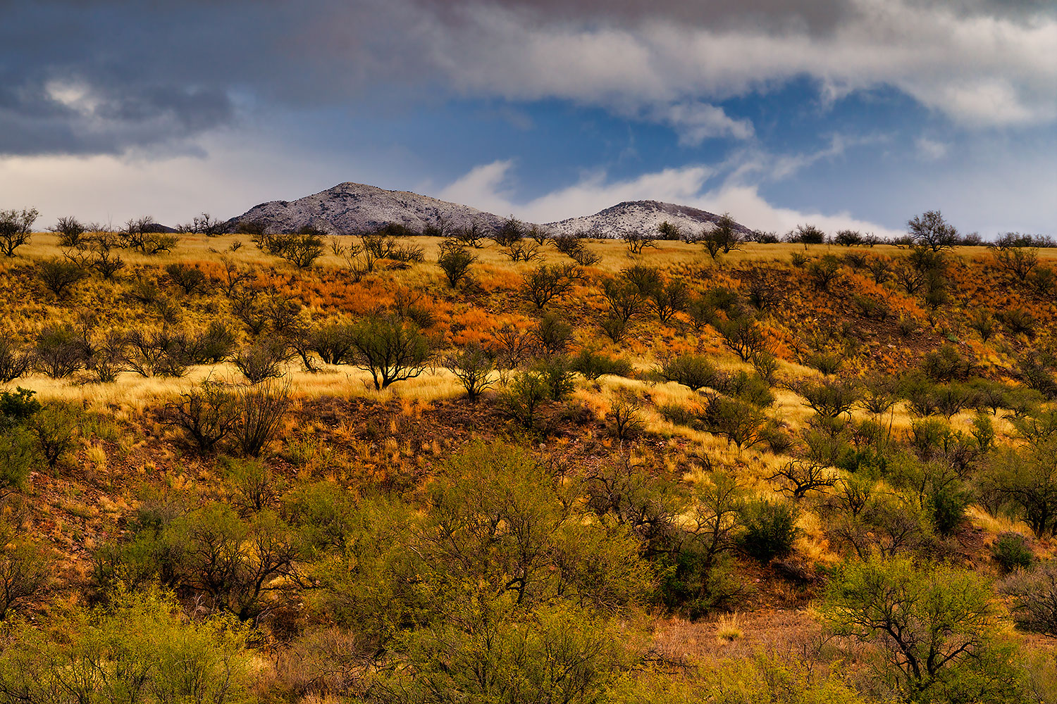 2019-12-27-rita-box-yellow-2to5-a7r3_19571