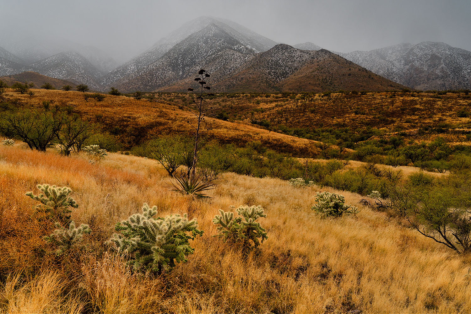 2019-12-27-rita-box-yellow-5to0-a7r3_19664