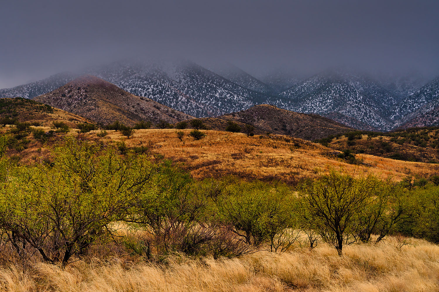 2019-12-27-rita-box-yellow-8to2-a7r3_19587