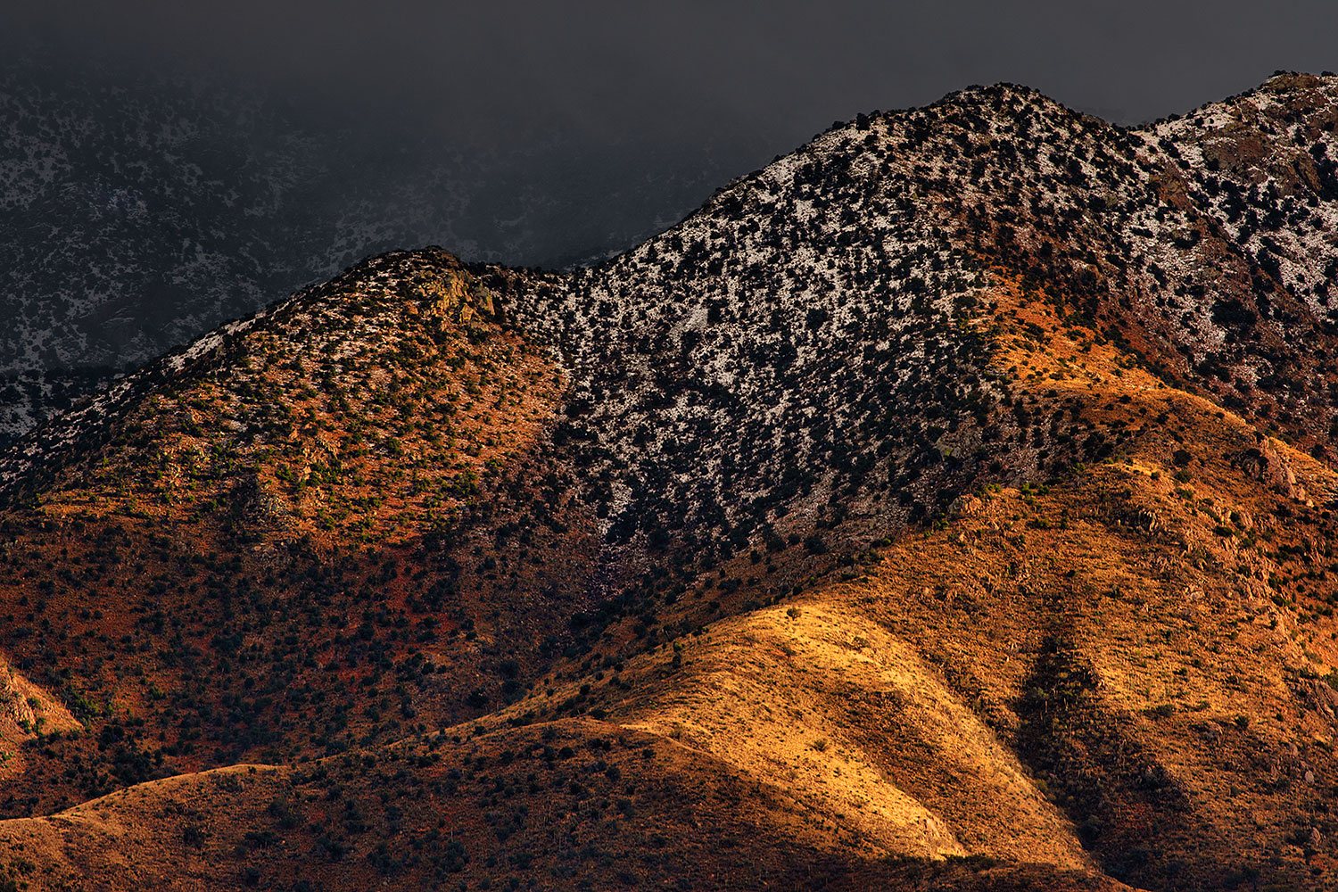 2019-12-27-rita-peaks-51-a7r3_19848