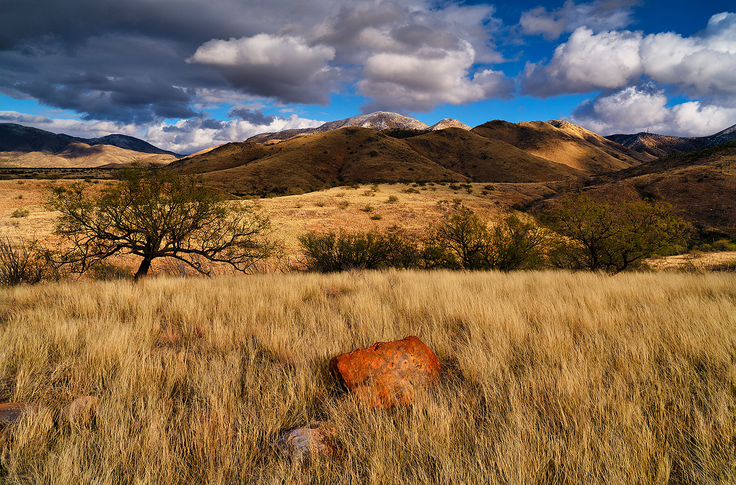 2019-12-28-box-canyon-1to5-a7r3_20670