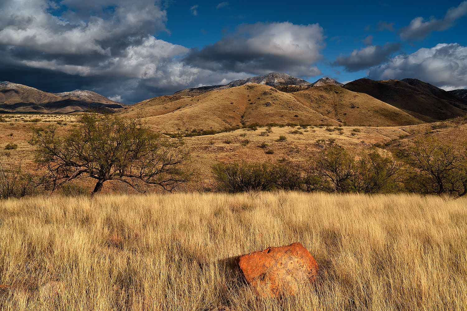 2019-12-28-box-canyon-5to0-a7r3_20624