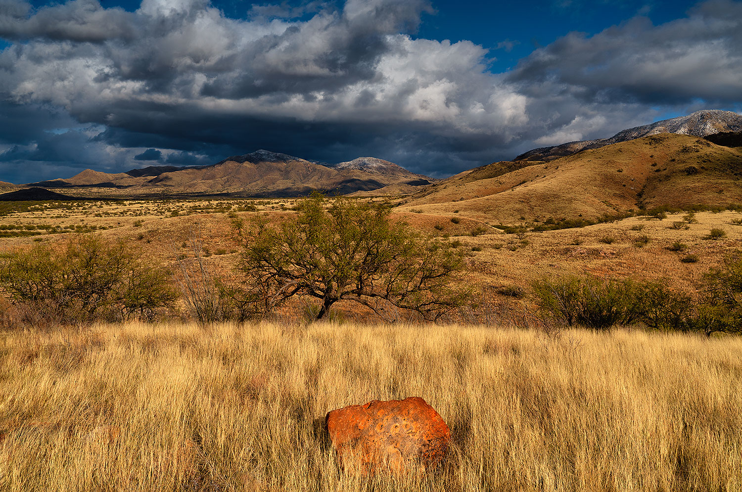 2019-12-28-box-canyon-5to9-a7r3_20614