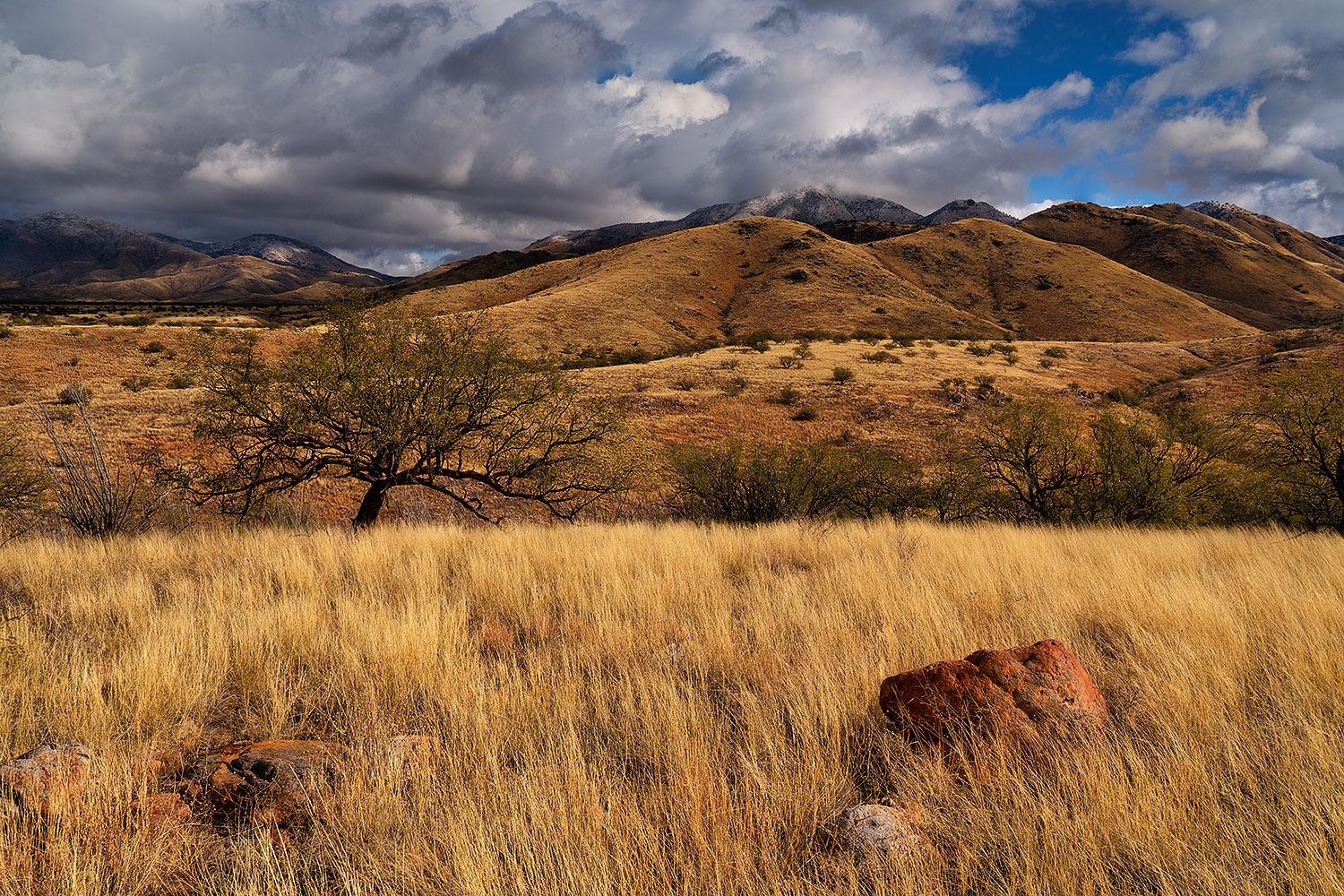 2019-12-28-box-canyon-8to4-86to5-a7r3_20157